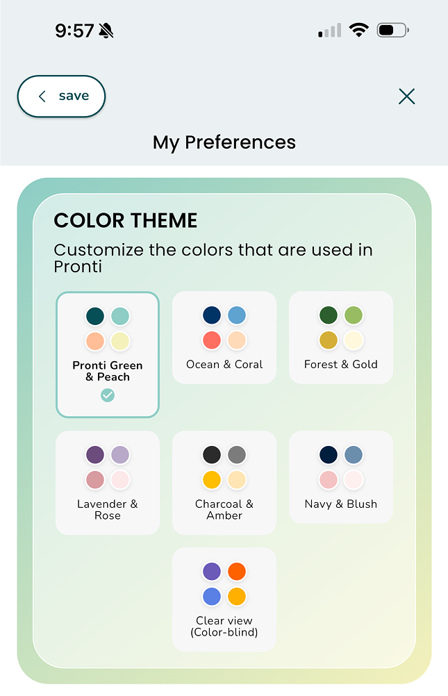 Color Theme